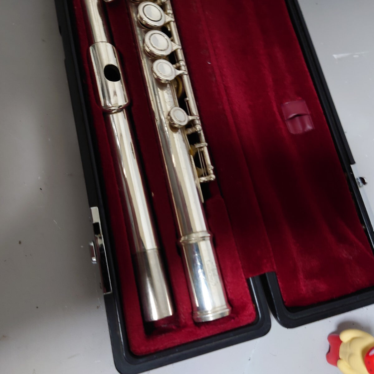 46109514