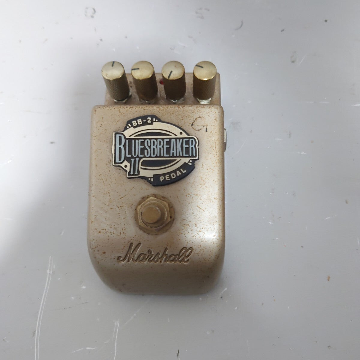 46109555