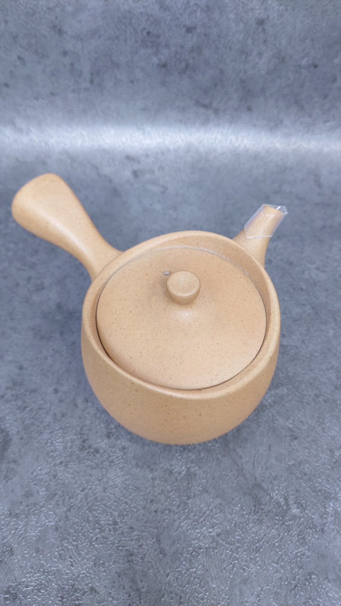 Teapot | Tokoname ware pottery | made by Isshin | Yakijime refreshing 270cc