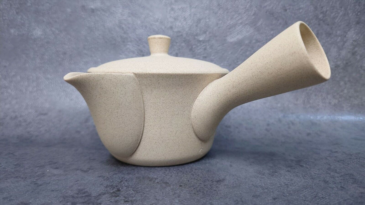 Japanese style Teapot | Tokoname ware | Jinsui-made | ceramesh & basket net 210cc